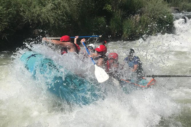 rogue-river-thrill-seeker