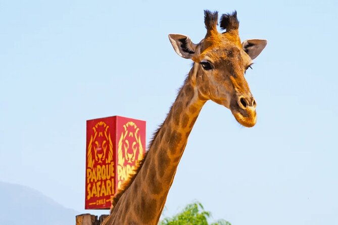 safari-park-wild-experience