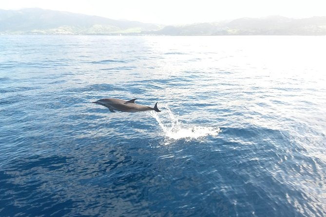 sail-snorkel-adventure-from-sapphire-marinastt-no-crowds-6-guest-max
