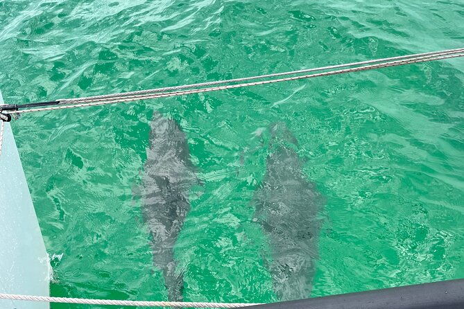sailing-adventures-3-hour-activity-in-destin