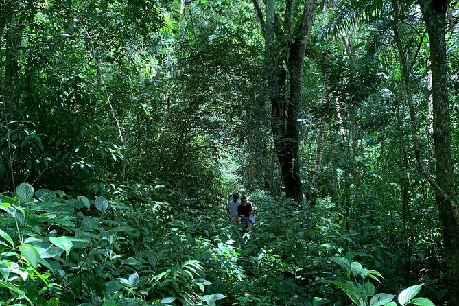salto-de-la-jalda-leaping-la-jalda-hiking-or-horse-riding-by-rain-forest