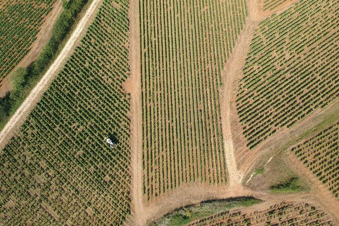 sancerre-private-wine-tour-with-10-tastings-and-lunch-from-paris