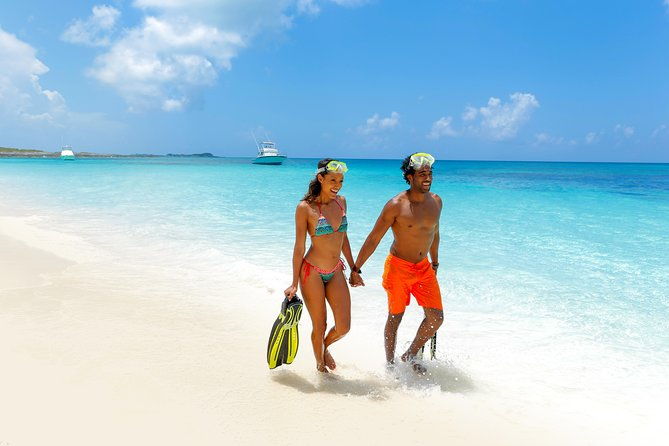 sandy-toes-bahamas-original-swimming-pigs-and-snorkeling