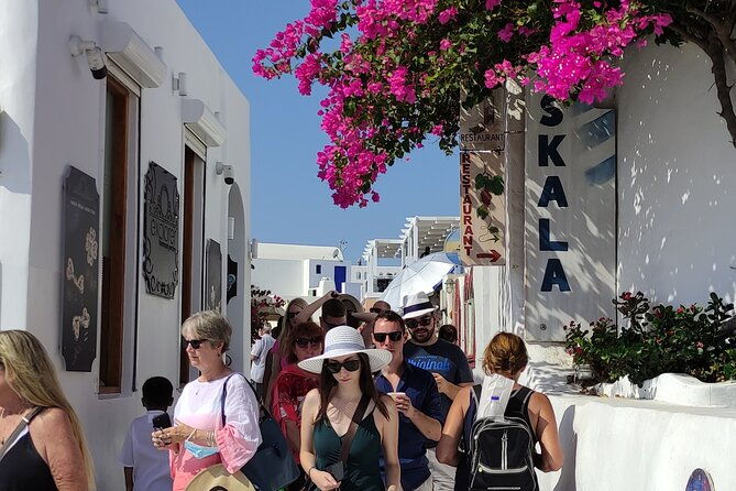 santorini-shore-excursion-5-hour-small-group-tour
