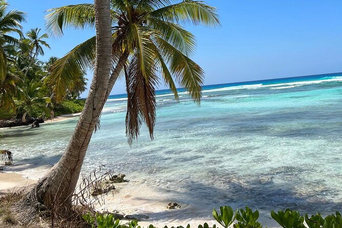 saona-island-full-day-tour-with-buffet-lunch-paella-open-bar