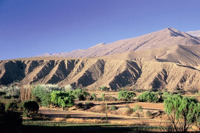 saver-combo-cafayate-humahuaca-transfer-and-free-walking-tour