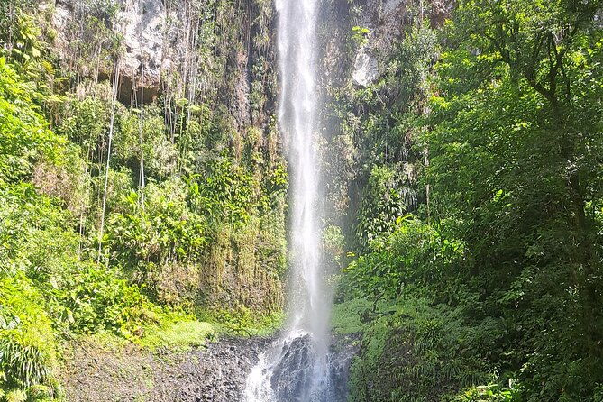 scenic-tour-of-city-and-rainforest-waterfall-sulphur-springs