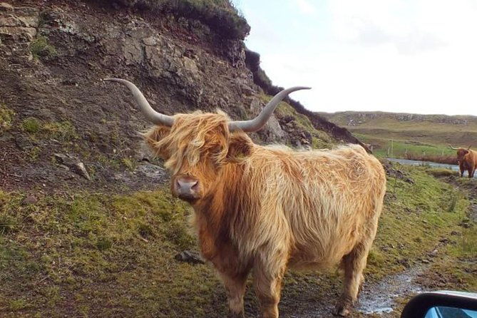 scotland-tours