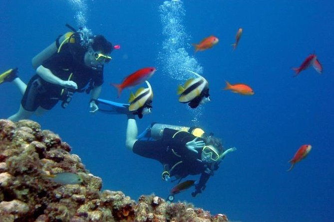 scuba-diving-tour-from-kusadasi-selcuk
