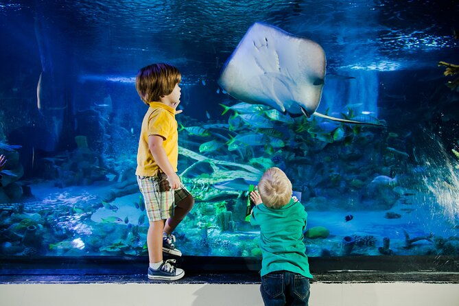 sea-life-aquarium-arizona-admission-ticket
