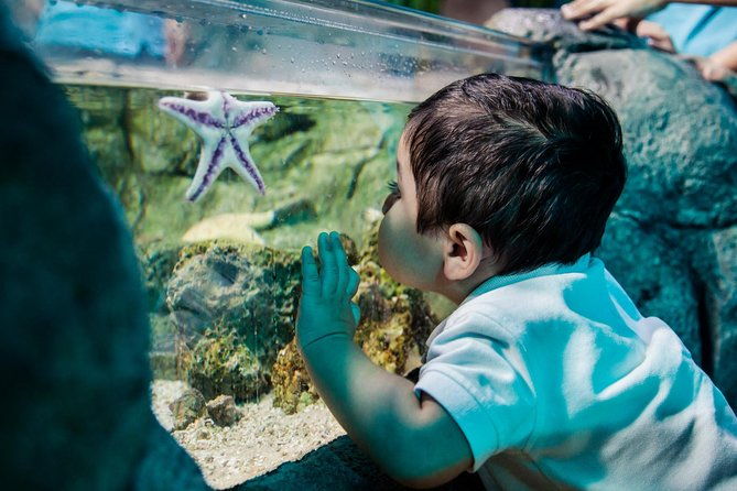 sea-life-charlotte-concord-aquarium-admission-ticket