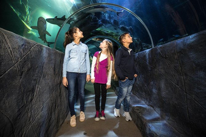 sea-life-munich-admission-ticket