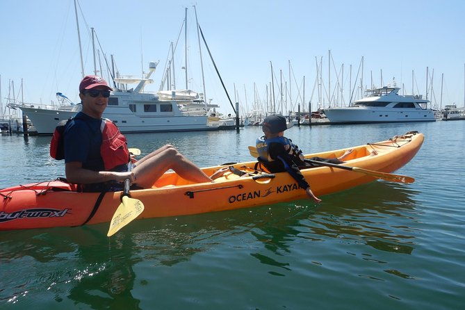 sea-lion-kayak-tour-santa-barbara-harbor