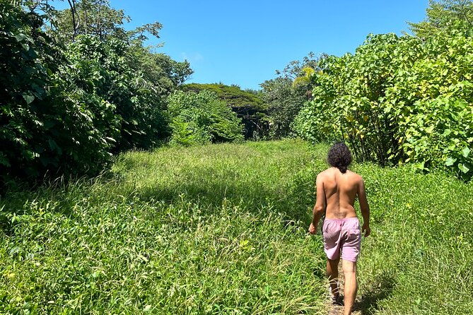secret-jungle-tide-pool-hike-private
