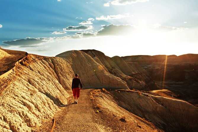 self-guided-audio-driving-tour-in-petrified-forest-national-park