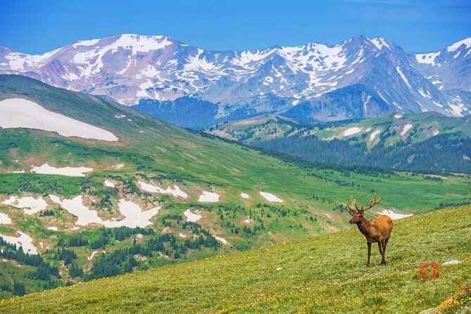 self-guided-audio-driving-tour-in-rocky-mountain-national-park