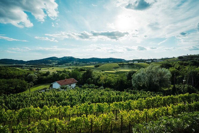 self-guided-bike-tour-in-slovenia