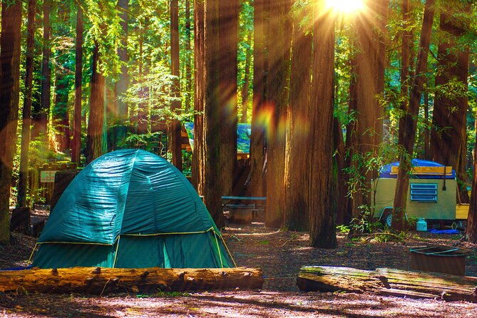 self-guided-driving-audio-tour-of-redwood-national-and-state-park