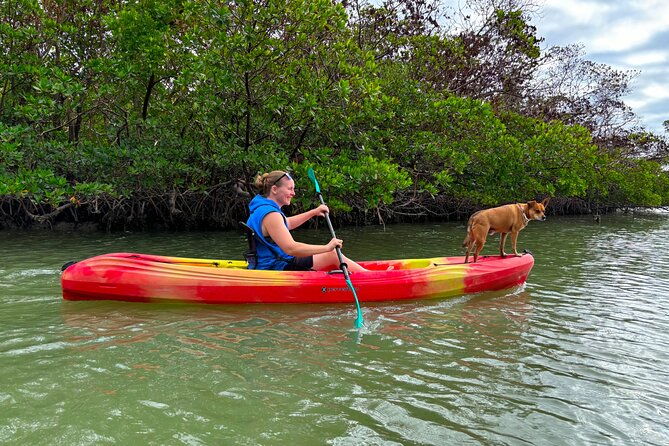 self-guided-ecotour-clear-standard-kayaks-bonita-springs