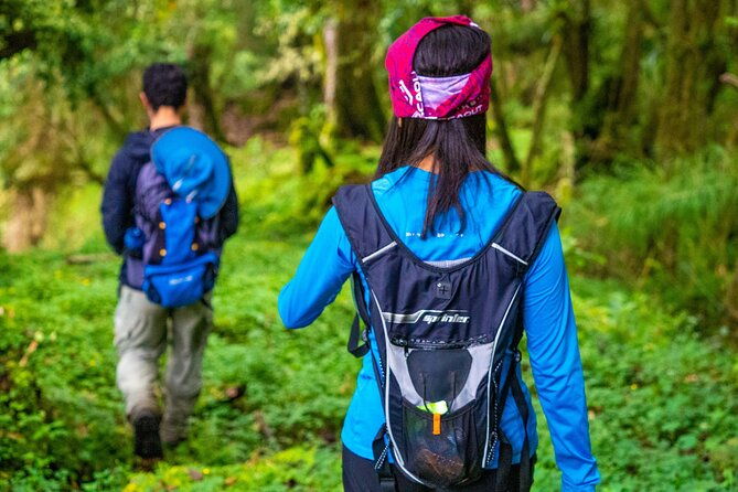self-guided-walk-in-the-iral-cloud-forest-trails