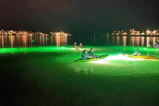 sharkeys-glass-bottom-fish-feeding-led-night-tour-in-sarasota