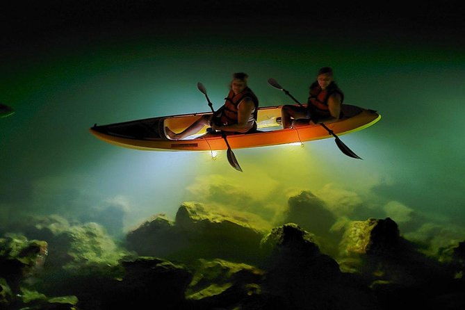sharkeys-glass-bottom-fish-feeding-led-night-tour-st-pete-beach