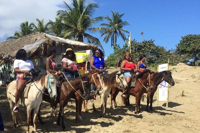 short-excursion-horseback-riding-tours-on-the-beach-and-mountain
