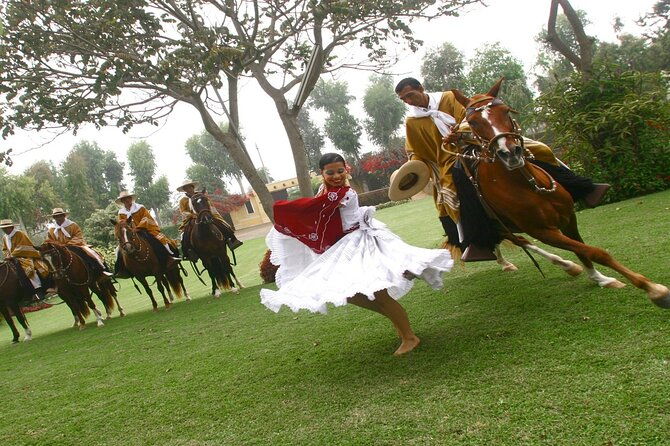 show-of-peruvian-paso-horse-marinera-with-lunch