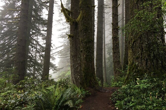silver-falls-waterfall-hiking-tour-from-portland-2