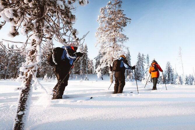 ski-trekking-safari-in-lapland