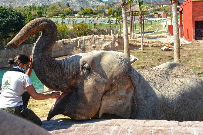 skip-the-line-terra-natura-benidorm-entrance-ticket-2