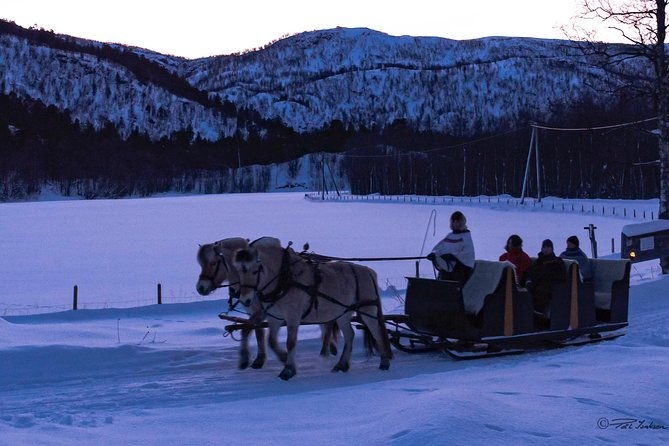 sleigh-ride-w-snacks-experience-arctic-farm-life