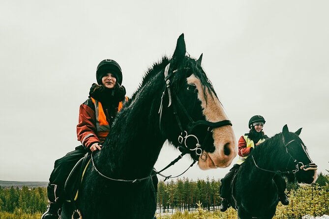 small-group-arctic-circle-horse-riding-from-rovaniemi