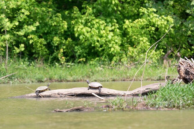 small-group-clear-kayak-tour-of-old-hickory-lake