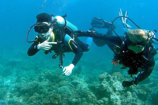 small-group-introductory-scuba-diving-in-pula