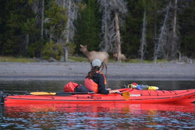 small-group-sunset-kayaking-tour-on-lake-yellowstone-2
