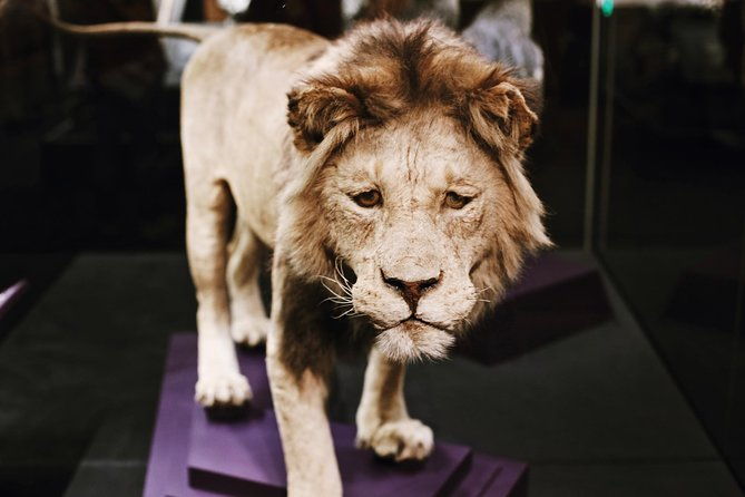 smithsonian-natural-history-american-history-semi-private-tour