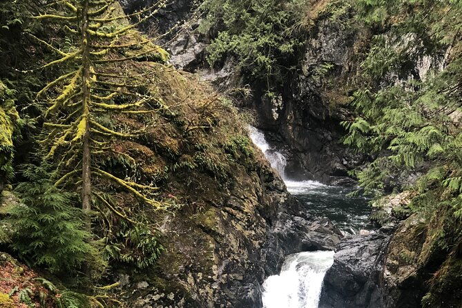 snoqualmie-falls-and-twin-falls-hike-2