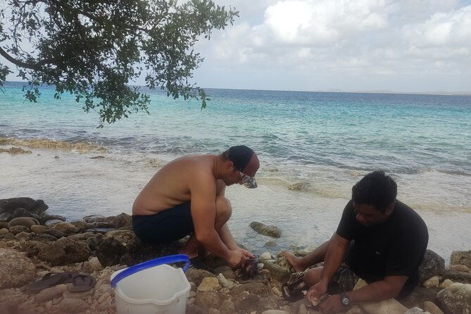 snorkeling-and-grilling-fresh-fish-at-donkey-beach