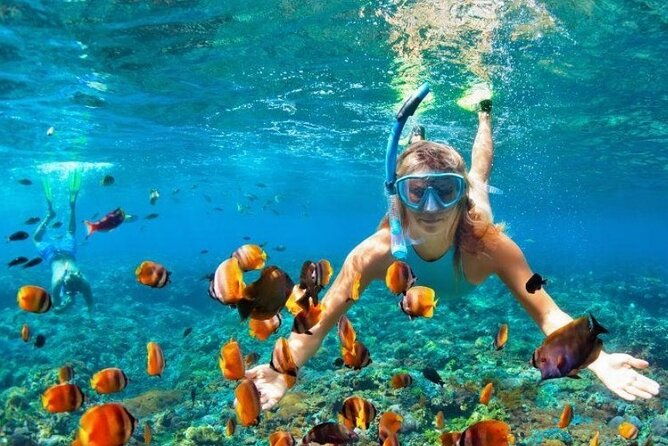 snorkeling-water-private-activity-in-montego-bay-jamaica