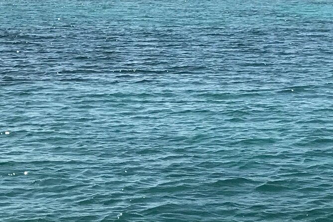 snorkeling-with-the-turtles