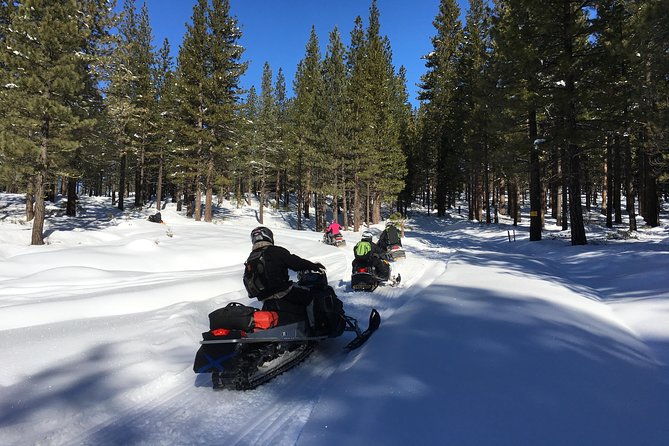 snowmobiling-packages-in-the-sierras-from-reno-nevada