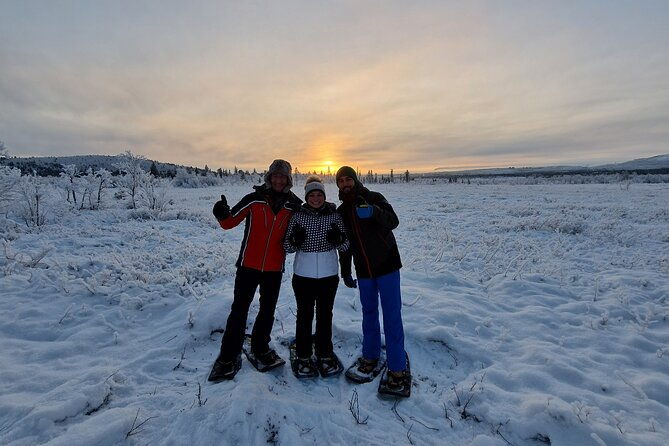 snowshoe-in-a-winter-forest