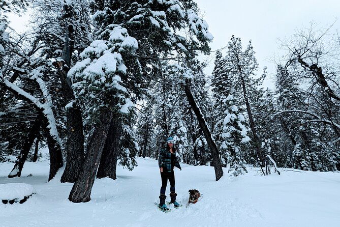snowshoe-tour-big-bear-lake-with-hot-chocolate