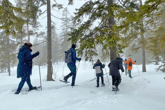 snowshoe-tour-in-winter-wonderland-oslo-2