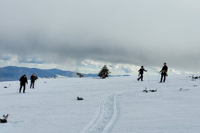 snowshoeing-fun-tour-from-cluj-napoca