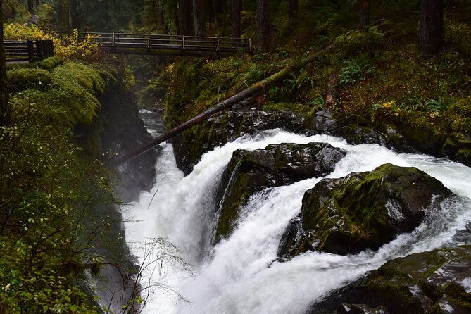 sol-duc-lake-crescent-and-hurricane-ridge-guided-tour-in-olympic-national-park