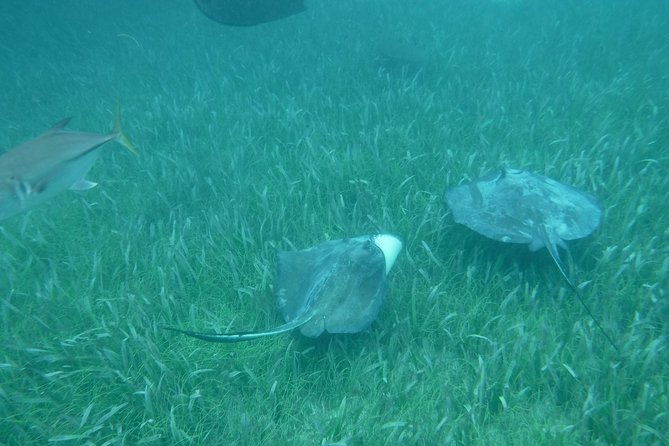 st-john-surrounding-cays-full-day-sail-snorkel-all-inclusive