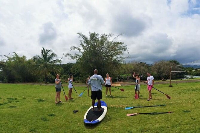 stand-up-paddle-nature-and-turtle-tour-guaranteed-to-see-turtles