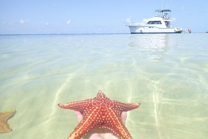 starfish-point-stingray-city-and-coral-garden-adventure